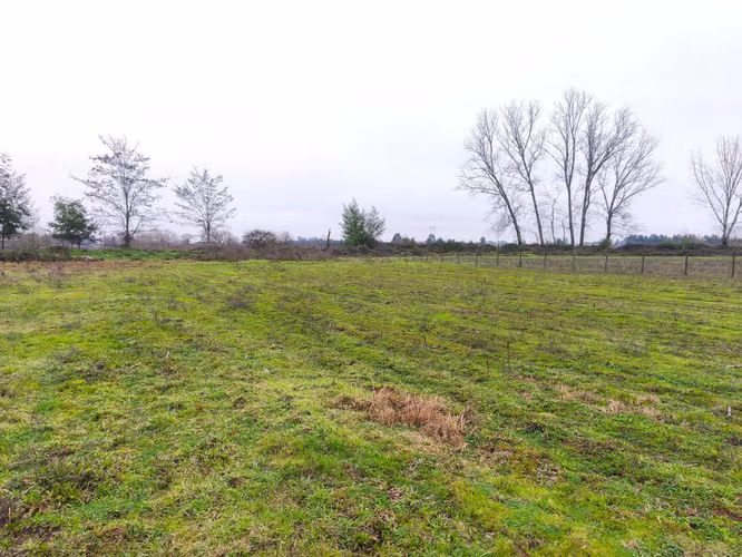 Venta parcela 2 hectáreas 1/4 a orilla de camino (177213)