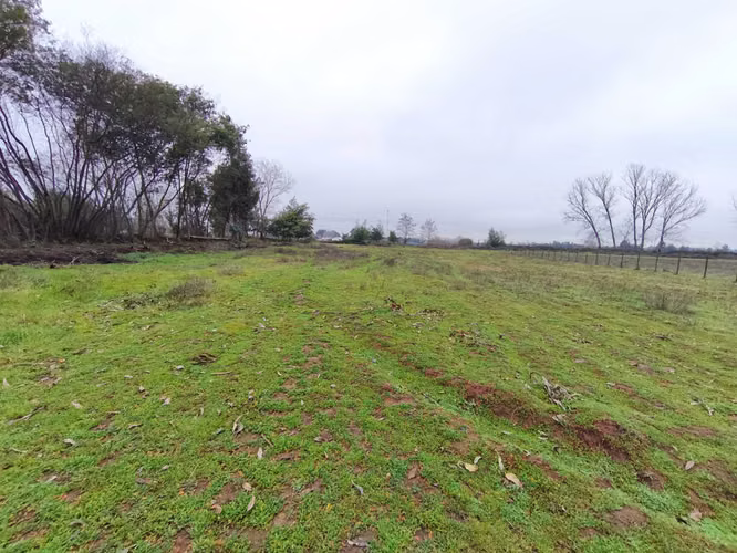 Venta parcela 2 hectáreas 1/4 a orilla de camino (177213) - Imagen 6