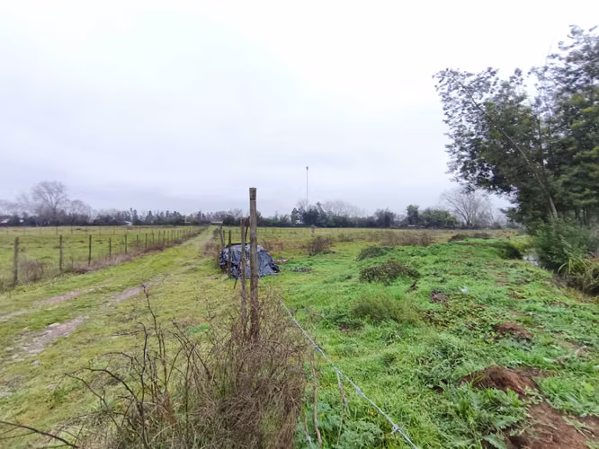 Venta parcela 2 hectáreas 1/4 a orilla de camino (177213) - Imagen 4