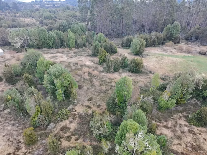 Se veden 35.000 m2 - Imagen 3