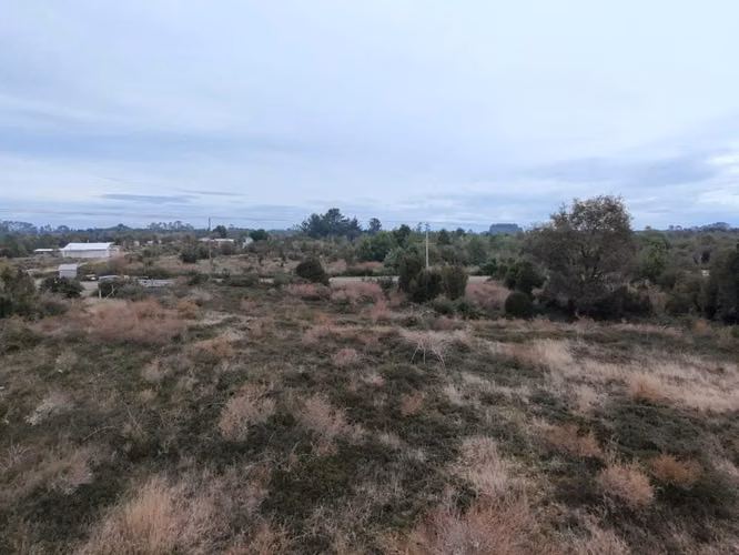 Se veden 35.000 m2
