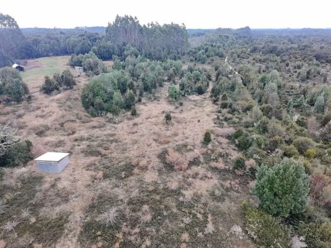 Se veden 35.000 m2 - Imagen 2
