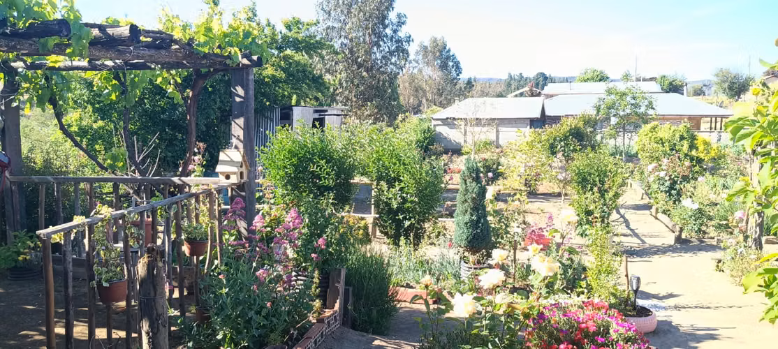 HERMOSA VIVIENDA EN VILLA TRINTRE, COMUNA DE LOS SAUCES