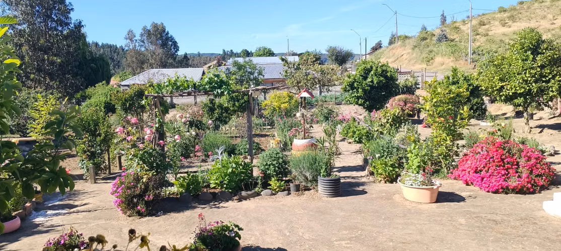 HERMOSA VIVIENDA EN VILLA TRINTRE, COMUNA DE LOS SAUCES
