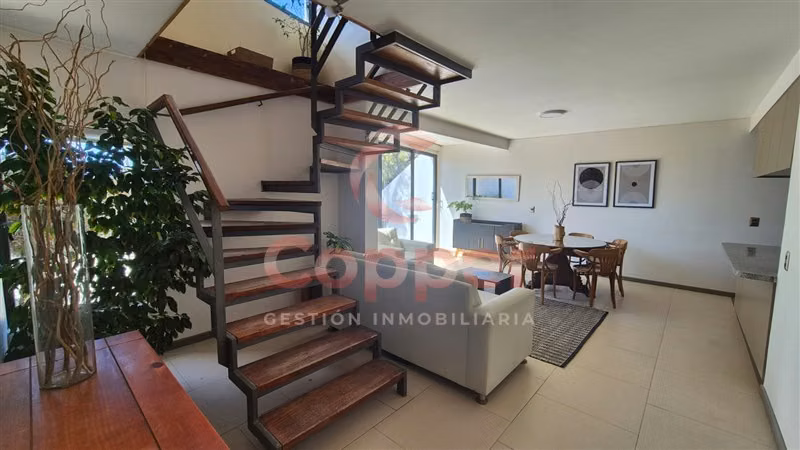 Casa Amoblada en Arriendo , Centro de Caldera - Imagen 11