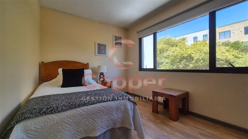 Casa Amoblada en Arriendo , Centro de Caldera - Imagen 21