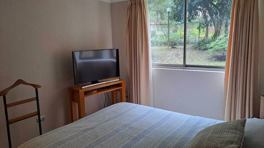 AMOBLADO. VENTA DIRECTA. DEPTO. PUCON (177239) - Imagen 10