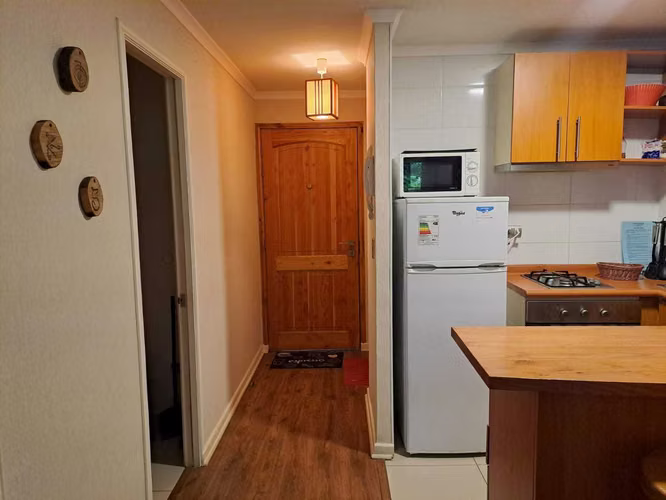AMOBLADO. VENTA DIRECTA. DEPTO. PUCON (177239) - Imagen 5