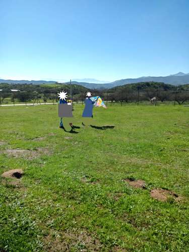 Vendo Parcela Plana de 5000 mts2 - Imagen 6