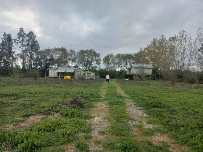 Vendo Parcela a Orilla de Camino Principal, Pelarco.