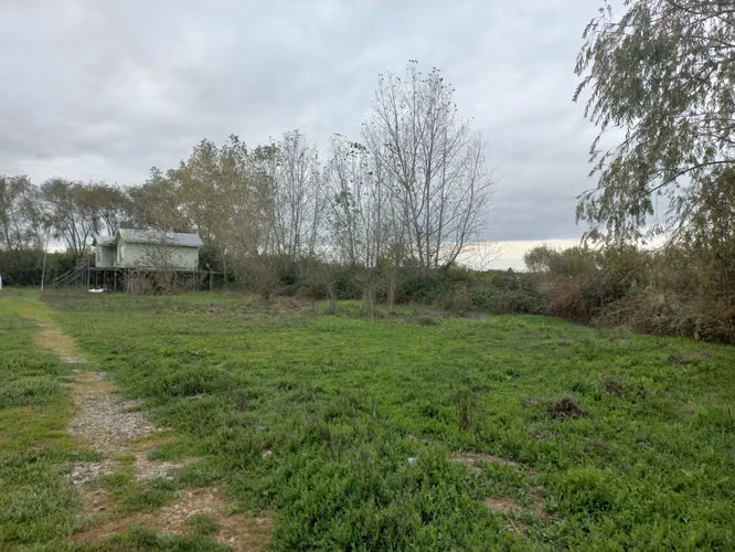 Vendo Parcela a Orilla de Camino Principal, Pelarco.