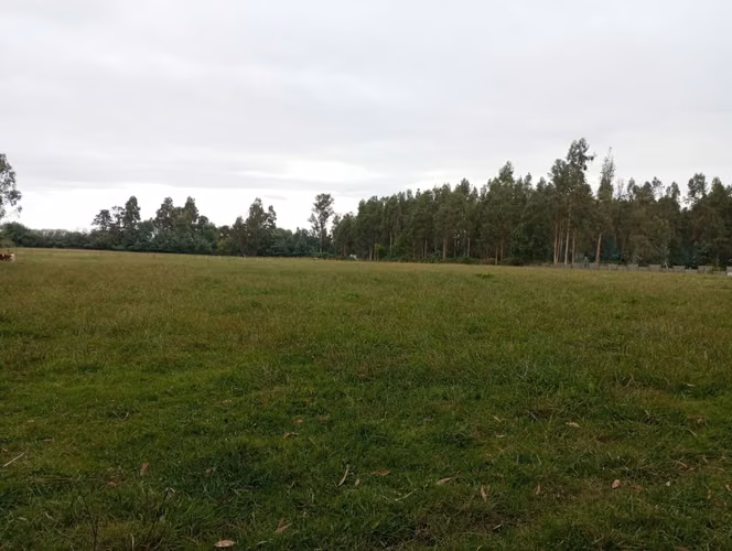 Vendo 3,56 ha de Terreno, Especial para Cultivo de Avellano, Sector Astillero, Pelarco.
