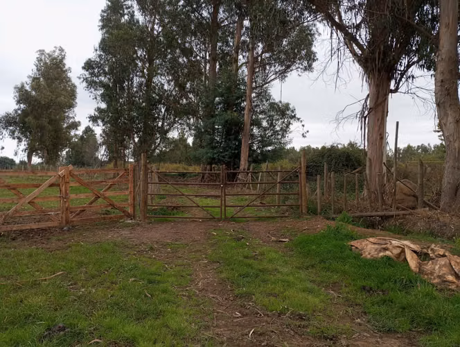 Vendo 3,56 ha de Terreno, Especial para Cultivo de Avellano, Sector Astillero, Pelarco.