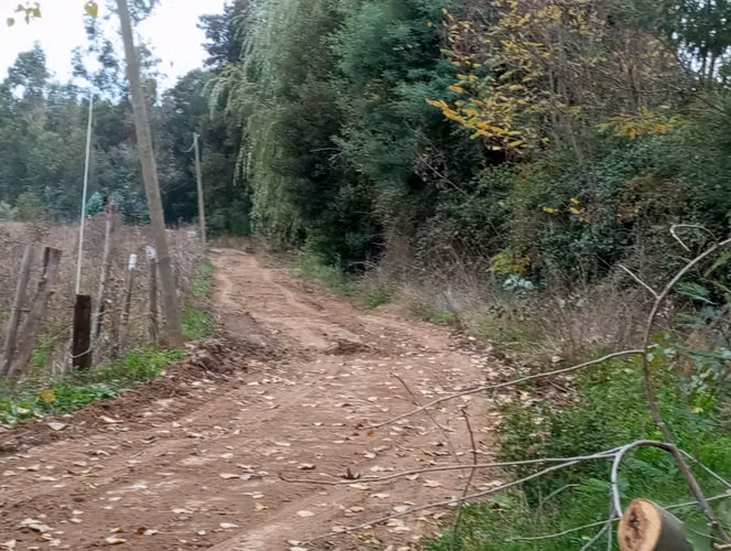 Vendo 3,56 ha de Terreno, Especial para Cultivo de Avellano, Sector Astillero, Pelarco.