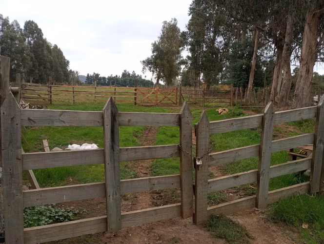 Vendo 3,56 ha de Terreno, Especial para Cultivo de Avellano, Sector Astillero, Pelarco.