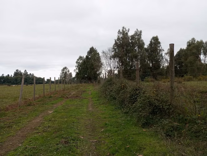 Vendo 3,56 ha de Terreno, Especial para Cultivo de Avellano, Sector Astillero, Pelarco.