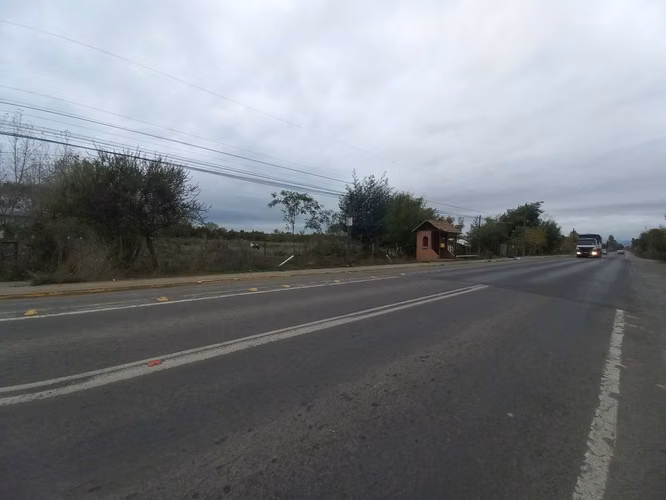 Vendo 3,56 ha de Terreno, Especial para Cultivo de Avellano, Sector Astillero, Pelarco.