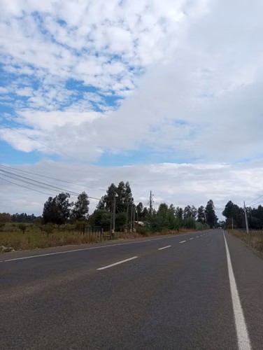 Vendo 3,56 ha de Terreno, Especial para Cultivo de Avellano, Sector Astillero, Pelarco.