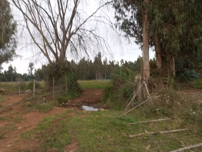 Vendo 3,56 ha de Terreno, Especial para Cultivo de Avellano, Sector Astillero, Pelarco.