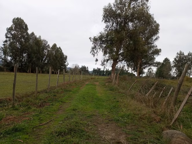 Vendo 3,56 ha de Terreno, Especial para Cultivo de Avellano, Sector Astillero, Pelarco.
