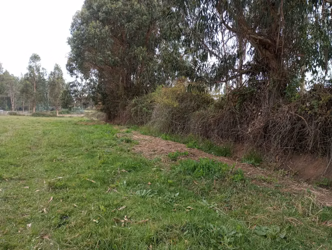Vendo 3,56 ha de Terreno, Especial para Cultivo de Avellano, Sector Astillero, Pelarco.