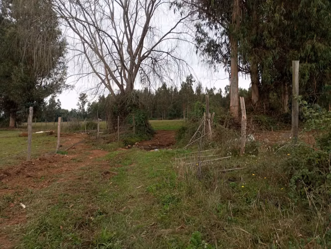Vendo 3,56 ha de Terreno, Especial para Cultivo de Avellano, Sector Astillero, Pelarco.