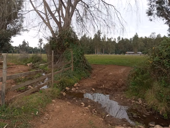 Vendo 3,56 ha de Terreno, Especial para Cultivo de Avellano, Sector Astillero, Pelarco.