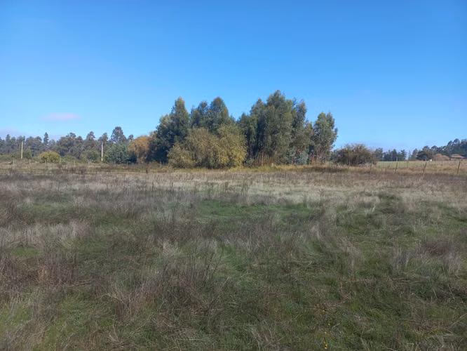 Vendo 7.934 mtrs. 2 de Terreno Plano, Especial Para Descansar, Sector El Llano, Pelarco. Abone 20% y el resto en cuotas.