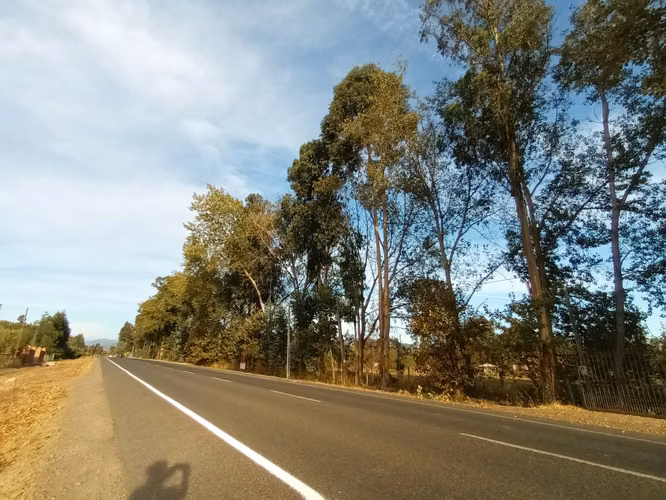 Vendo  Hermosa Parcela Con Casa A Orilla De Camino