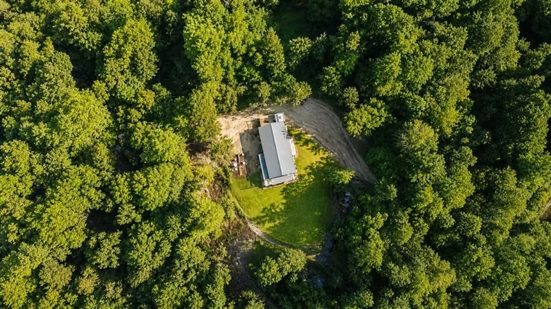 Casa Contemporánea inmersa en bosque nativo-3D/3B-El Bosque
