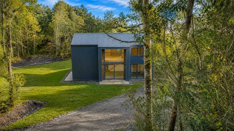 Casa Contemporánea inmersa en bosque nativo-3D/3B-El Bosque