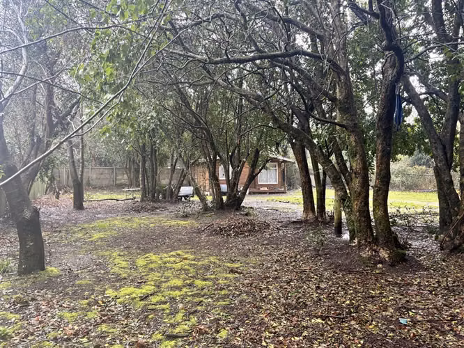 TERRENO 1250 m2 MAS CABAÑA