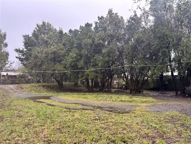 TERRENO 1250 m2 MAS CABAÑA