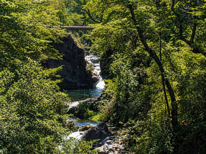 Tranquilidad y Naturaleza A Tu Alcance (177278)