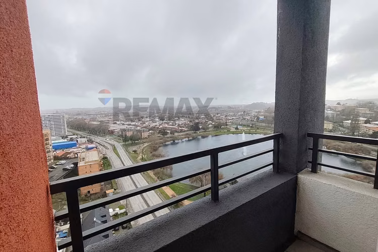 Moderno depto con vista a laguna redonda