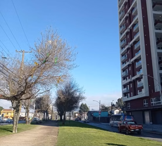 Departamento ANIBAL PINTO 1415
