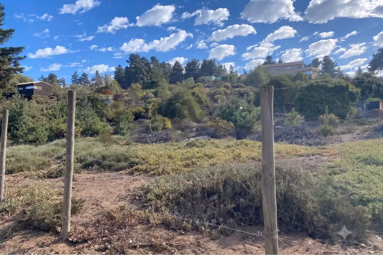 Terreno 1.500m² alta plusvalía en reñaca los pinos