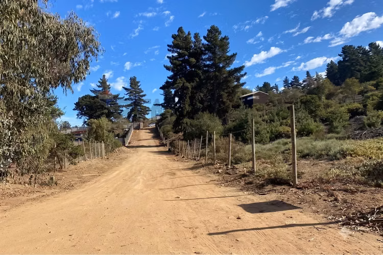 Terreno 1.500m² alta plusvalía en reñaca los pinos