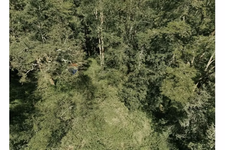 Terrenos 5.000 m² montaña región de los lagos