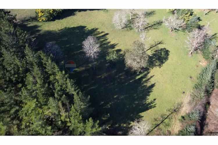 Terrenos 5.000 m² montaña región de los lagos