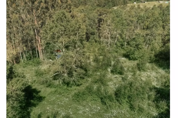 Terrenos 5.000 m² montaña región de los lagos