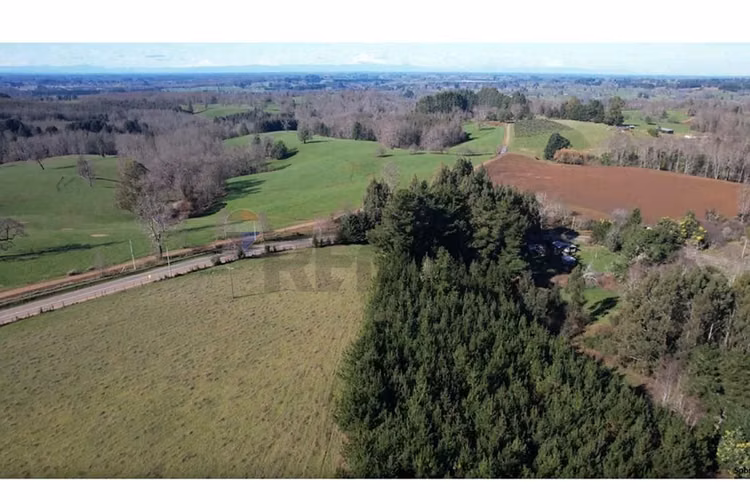 Terrenos 5.000 m² montaña región de los lagos