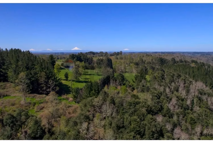 Terrenos 5.000 m² a 20 min de osorno, los lagos