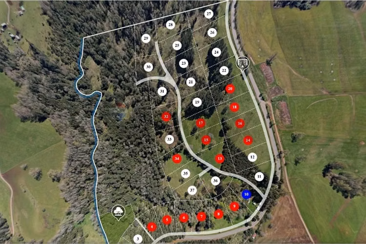 Terrenos 5.000 m² a 20 min de osorno, los lagos