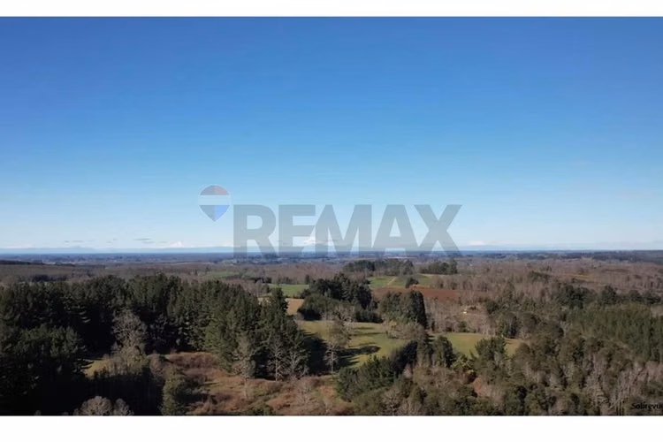 Terrenos 5.000 m² a 20 min de osorno, los lagos