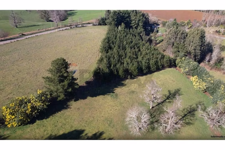Terrenos 5.000 m² montaña región de los lagos