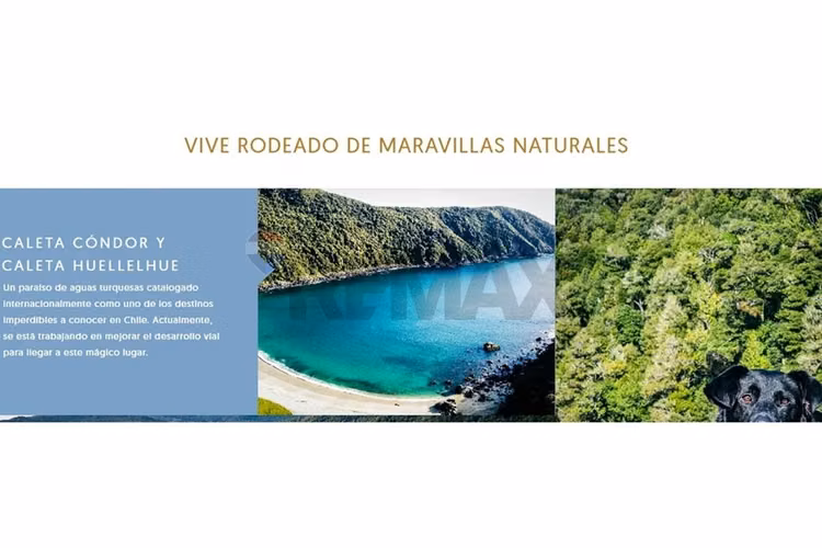 Terrenos 5.000 m² a 20 min de osorno, los lagos