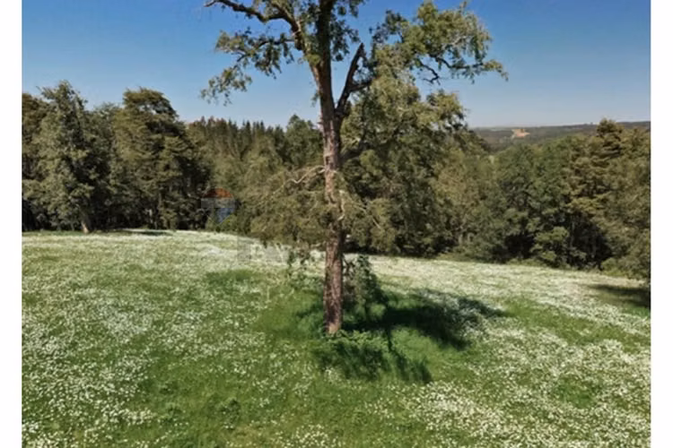 Terrenos 5.000 m² a 20 min de osorno, los lagos