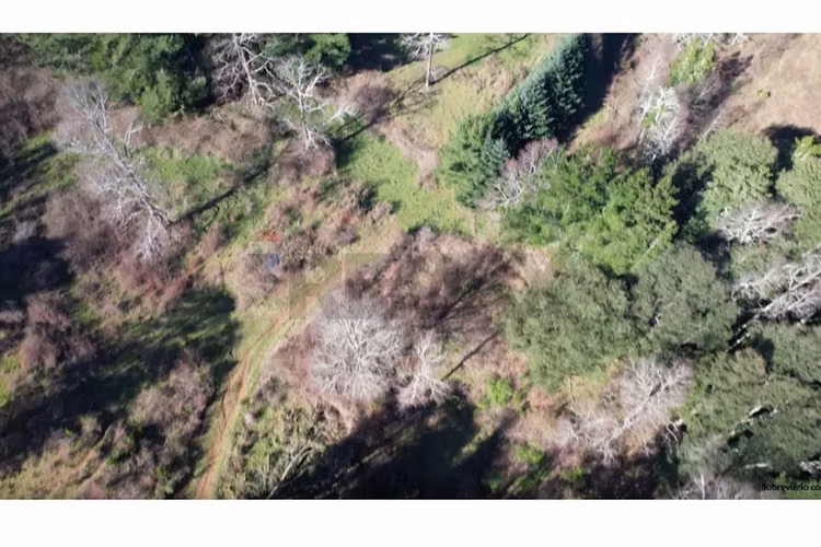 Terrenos 5.000 m² a 20 min de osorno, los lagos