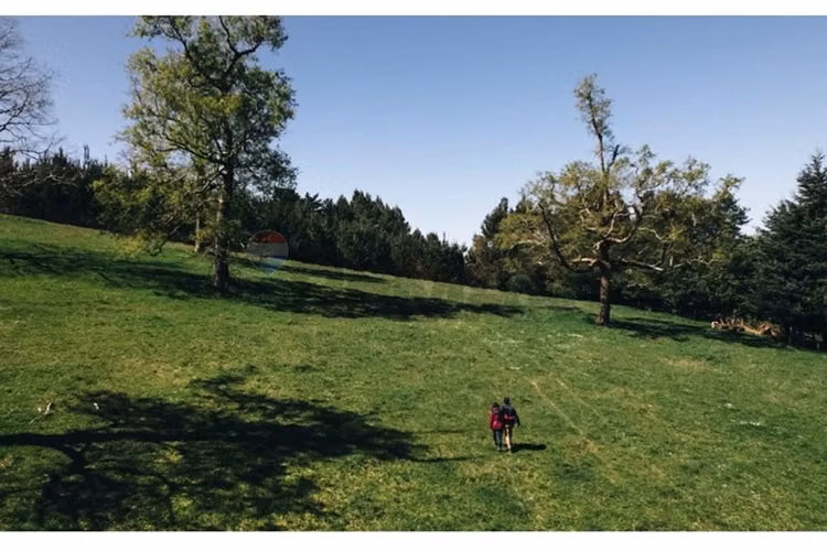 Terrenos 5.000 m² a 20 min de osorno, los lagos